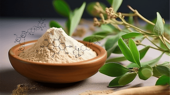 le match des extraits d’ashwagandha titrés en withanolides